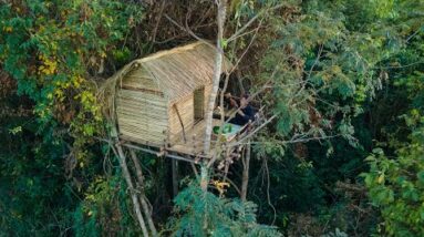 Amazing! Girl Build The Most Beautiful Bamboo Tree House