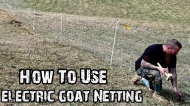 How To Use Electric Goat Netting