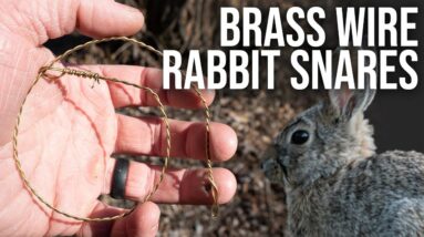 Making A Rabbit Snare With Brass Wire | Tjack Survival