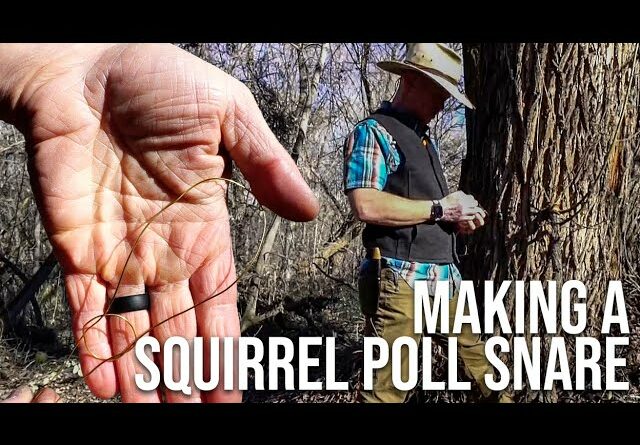 Setting up a Squirrel Pole Snare With Brass Wire | TJack Survival