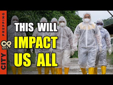 Yet Another Food Supply Chain Disruption - What's Causing It