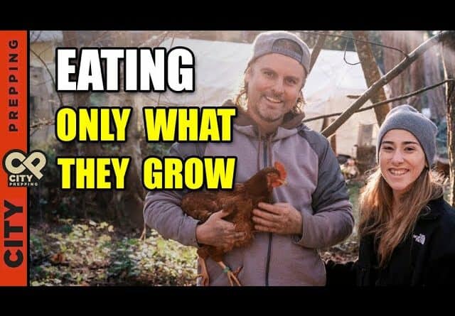 Living On a Self-Sufficient Homestead for 1 Year (Lovin Interview)