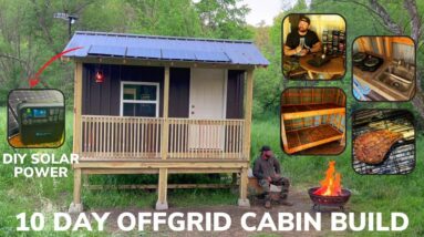 Solo 10 Day Overnight Building An Off-Grid Cabin With Solar Power In The Woods And Tomahawk Ribeye