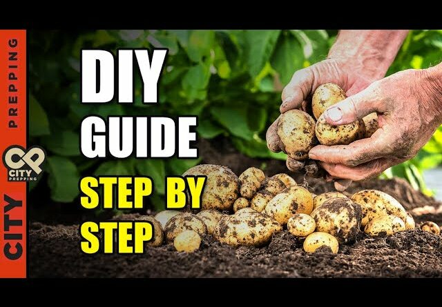 How to Build a Potato Tower
