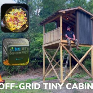 Solo 6 Day Overnight Building A Diy Elevated Off-Grid Tiny Cabin In The Woods And Tasty Burgers