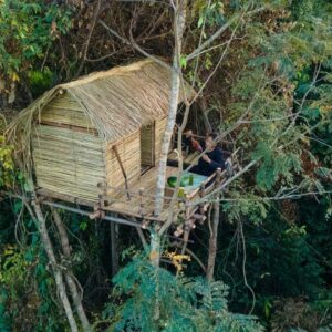 Girl Build The Most Beautiful Bamboo Tree House