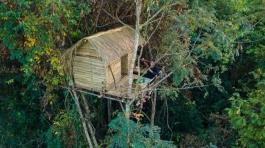 Girl Build The Most Beautiful Bamboo Tree House