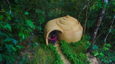 I Build The Most Beautiful Snail Shell-Shaped Home Shelter