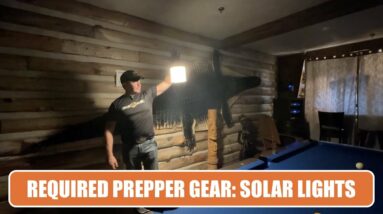 Remarkably Bright Solar Lights, Required Prepper Gear