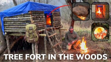 Solo Overnight Building A Tree Fort With Fireplace In The Snow And Ribeye Cooked Over A Chimney