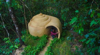 I Build The Most Beautiful Snail Shell-Shaped Home Shelter By Ancient Skills