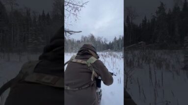 Prepper Survival Ar15 Training -30°