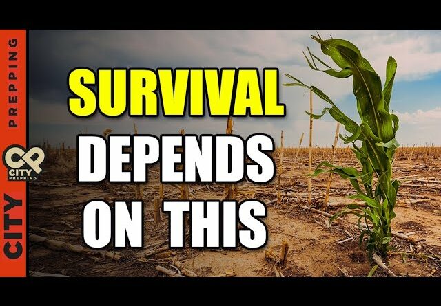When Food Runs Out: 5 Factors That Will Make All the Difference