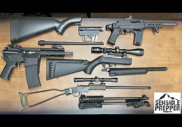 Top 8 Take Down Survival Rifles in 22 LR