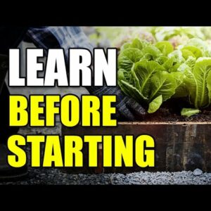 4 Critical Rules To Obey For Gardening Success (Pt 5)