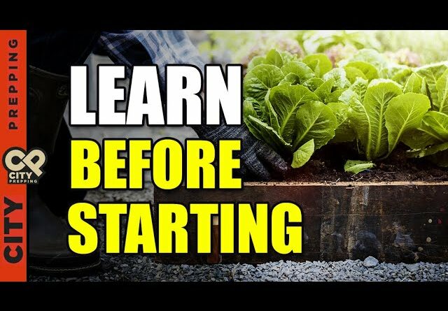 4 Critical Rules to Obey For Gardening Success (pt 5)