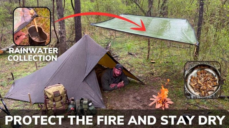 Solo Overnight Building a Tarp Tent During a Severe Rainstorm and Liver with Caramelized Onions