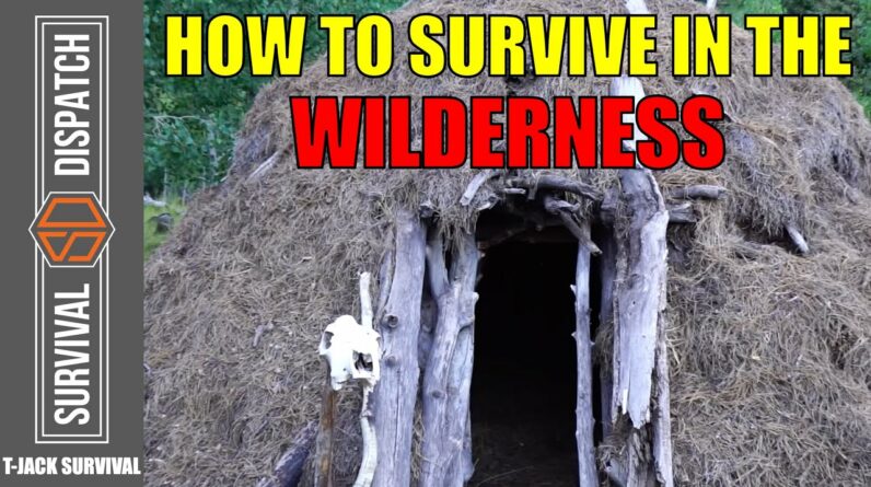 Dave Wescott: 50 Years of Helping People Survive | TJack Survival