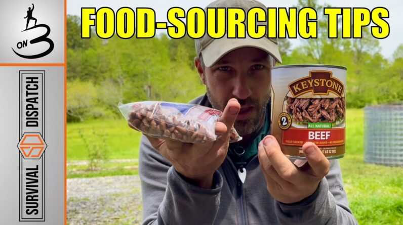 Foraging vs Hunting vs Farming vs Stockpiling: Which One Triumphs?