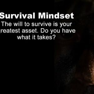 Master Your Mindset: How To Develop A &Quot;Never Quit&Quot; Survival Instinct!