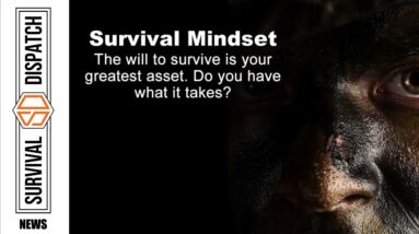 Master Your Mindset: How To Develop A &Quot;Never Quit&Quot; Survival Instinct!