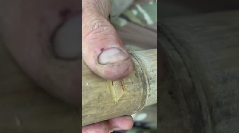 Bamboo Friction Fire | ON3 Jason Salyer