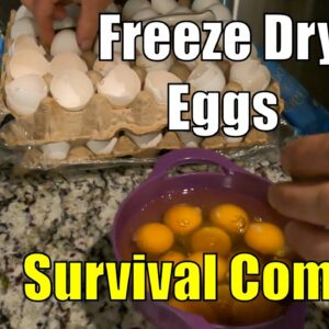 Basic Survival Comforts: How To Enjoy Eggs Anywhere, Anytime