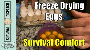 Basic Survival Comforts: How To Enjoy Eggs Anywhere, Anytime