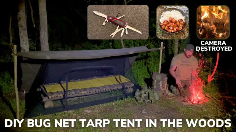 Solo Overnight Building a DIY Bug Net Tarp Tent in the Woods and Hibachi Chicken with Rice