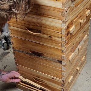 Vevor Bee Hive, 4 Layer, 10 Frame Complete Beehive Kit, For Beginners &Amp; Pro Beekeepers