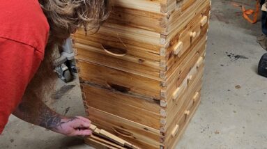 Vevor Bee Hive, 4 Layer, 10 Frame Complete Beehive Kit, For Beginners &Amp; Pro Beekeepers