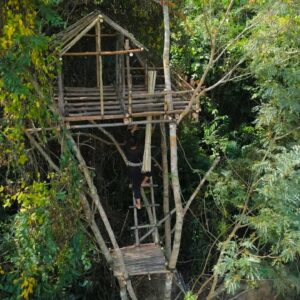 How A Girl Build The Most Beautiful Tree House, Secret Revealed