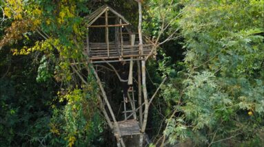 How A Girl Build The Most Beautiful Tree House, Secret Revealed