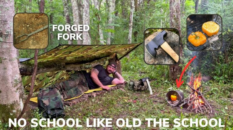Solo Overnight Staying Dry in a Poncho Shelter During a Rainstorm and a DIY Bushcraft Oven Omelet.