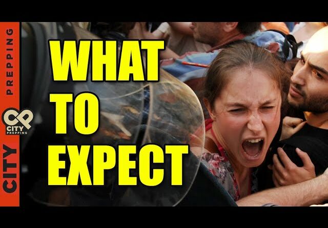 The 8 Stages of Societal Collapse