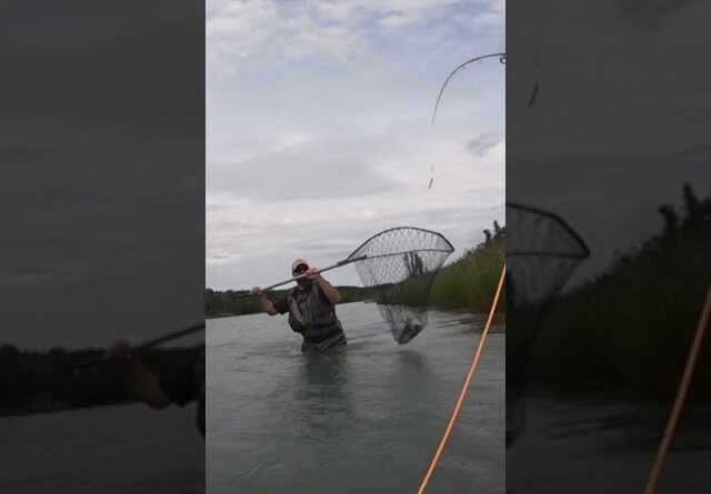 Alaskan Kenai Salmon Fishing | TJack Survival
