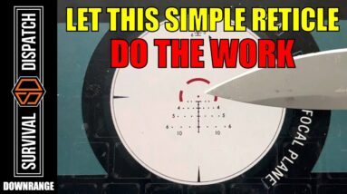 Master The Art Of Long-Range Accuracy With Minimal Practice