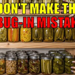Urban Survival: Bugging In Mistakes That Can Cost You Big Time!