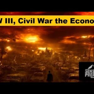 Ww Iii, Civil War And The Economy : Things To Consider
