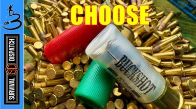 12 Gauge Or .22 Lr | Choose Your Weapon!