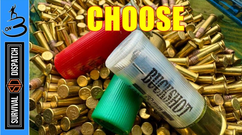 12 Gauge or .22 LR | Choose Your Weapon!