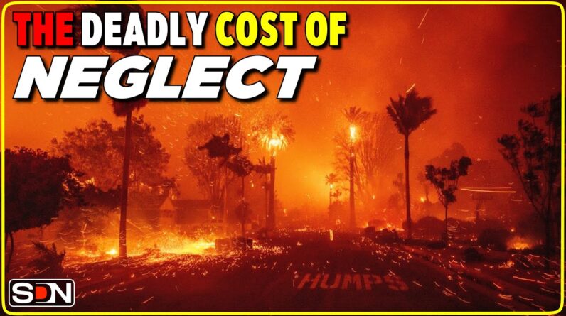 California Inferno: A Legacy of Forest Mismanagement EP363