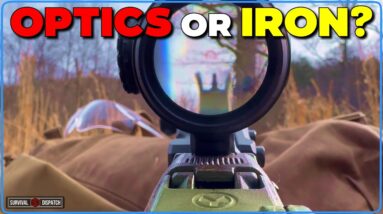 Optics Vs Iron Sights | Which Should You Bet Your Life On?