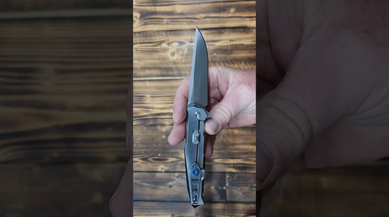 Ruike Tactical Pocket Knife Folding Knife Frame Lock 14C28N Steel Blet Clip P108-SF