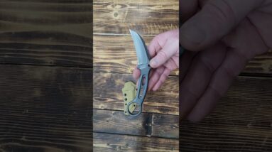 Wildlance EDC Fixed Blade Knife w Sheath Karambit Blade 3.2" DC53 IB-03 https://amzn.to/48zL59p