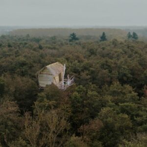 Building The Most Amazing House on Top of the Tree