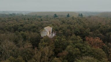 Building The Most Amazing House on Top of the Tree