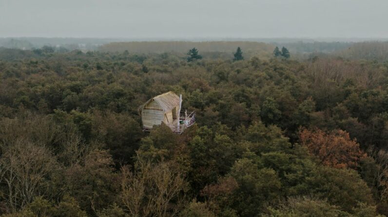 Building The Most Amazing House on Top of the Tree