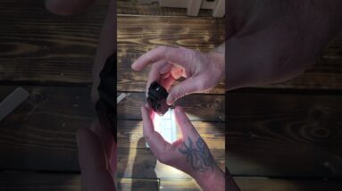 Olight PLX Weapon Light Olightstore: https://www.olightstore.com/s/6026GX 10% coupon code:SOS