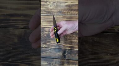 Sitivien ST161 Folding Pocket Knife,DC53 Steel G10 Handle Chinese Zodiac https://amzn.to/48zSi9r